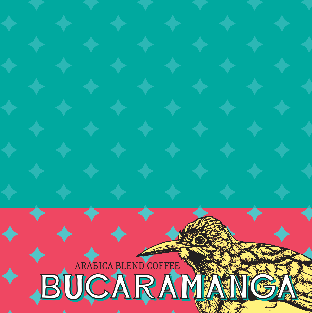 Bucaramanga Logo and Style